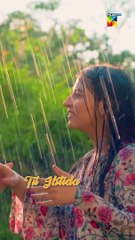 Love Sensation - Muhabbat Gumshuda Meri - #shorts #dananeer #FLO Digital #khushhalkhan