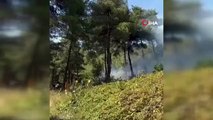 L'incendie qui s'est déclaré à 2 endroits différents à Bursa a été éteint