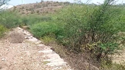 अपनी दुर्दशा पर आंसू बहा रहा  प्राचीन बाघोला बांध