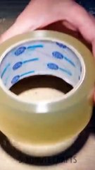 Rainbow Light For Your Photos Shorts