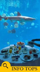 Things seen in slow motion!   