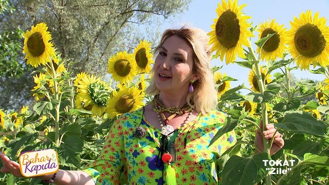 Bahar Kapıda - Tokat | 23 Temmuz 2023