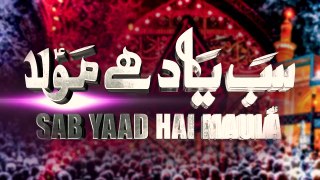 Sab Yaad Hai Maula _ Ali Shanawar _ 2023 _ 1445(720P_HD)