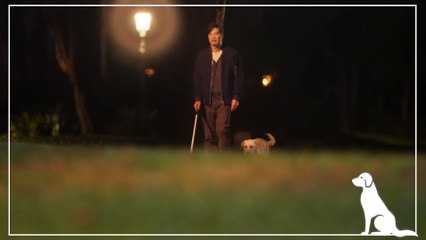 Eternos Companheiros | movie | 2019 | Official Teaser