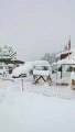 vehículos atascados en la nieve