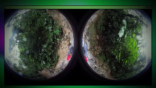 This Spider Catches And Consumes Birds in Its Web