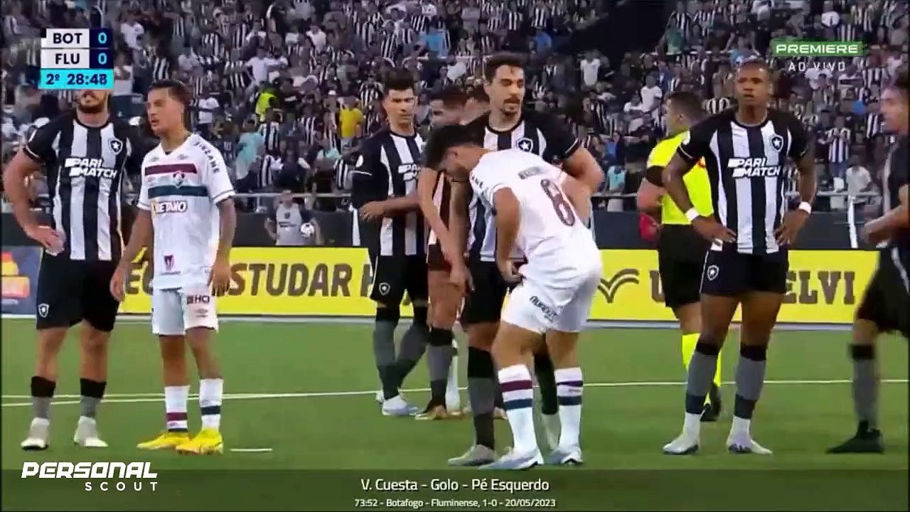 BOTAFOGO - GOLS MARCADOS OK