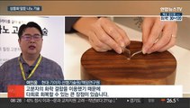 흠집 자가 복원·자가 발전 창문…나노 기술 속속 등장