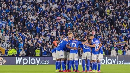 Tải video: Delincuentes se hacen pasar por hinchas de Millonarios para robar en el estadio El Campín