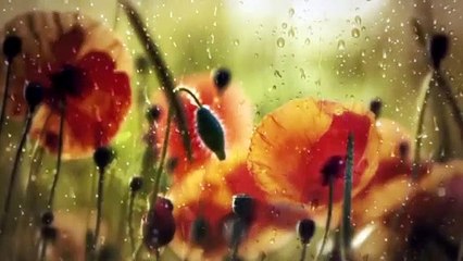 Rhythm Of The Rain Chinese Instrumental