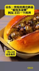 金蟬做的熱狗包，你喜歡吃嗎？山東、江蘇等地，把夏季的蟬當做美食。Hot dogs made with cicadas. Do you like them?
