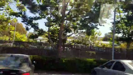 Vlog Video #16 Tiare & Jessica's birthday pool party (7-7-2023)