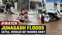 Gujarat Floods: Heavy rains trigger flash floods in Junagadh, cars swept away | Oneindia News