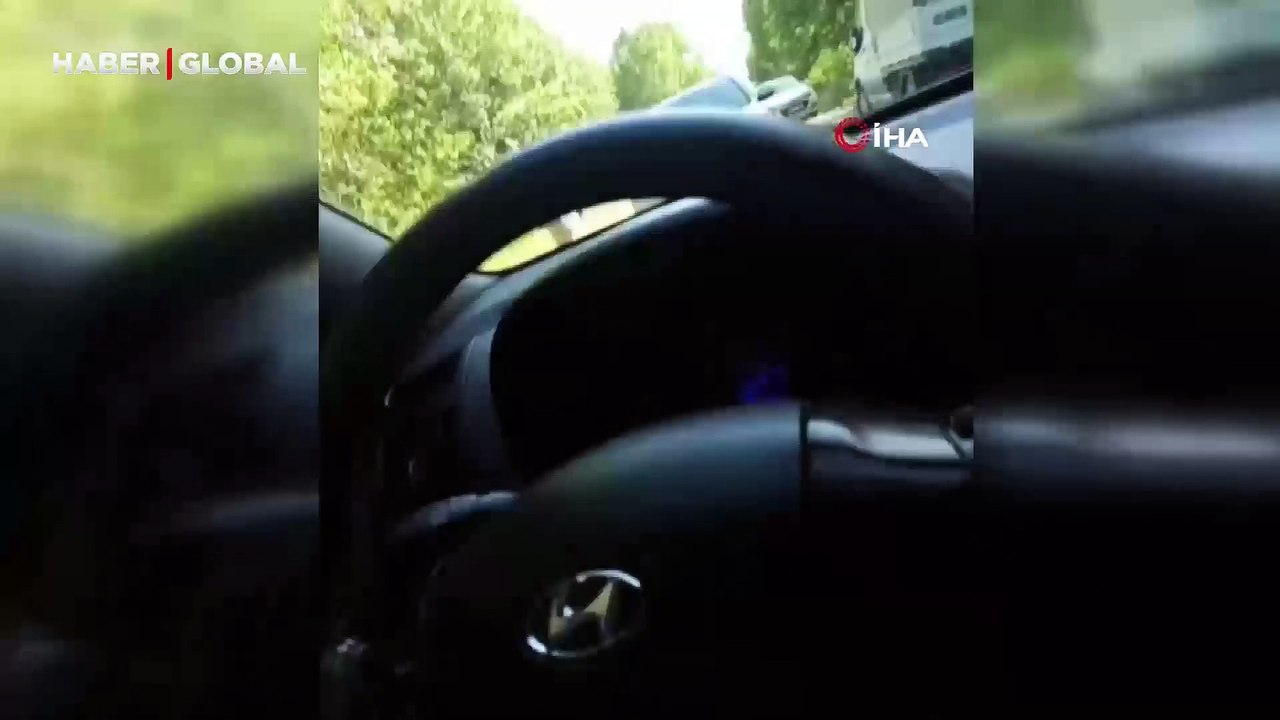 Yavru ayının kendisini görüntülemek isteyen adama saldırı girişimi gündem oldu