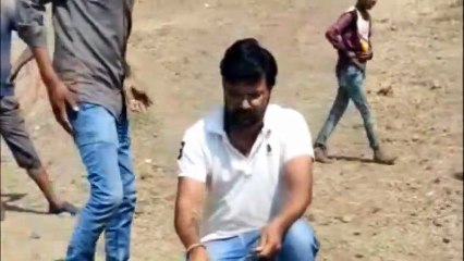 दलोट में मिला कॉमन कैट स्नेक