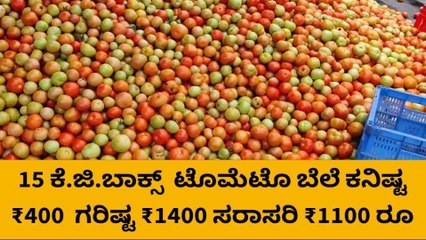 ಚಿಂತಾಮಣಿ ಮಾರುಕಟ್ಟೆಯಲ್ಲಿ ಹೇಗಿದೆ ನೋಡಿ &#039;ಕೆಂಪು ಚಿನ್ನ&#039; ರೇಟ್