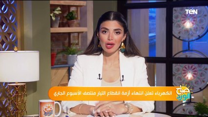 كيف ترشد استهلاكك وتحافظ على الأجهزة في ظل انقطاع الكهرباء؟.. رئيس شعبة الأجهزة الكهربائية يجيب