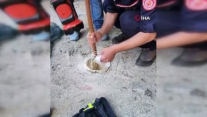 Gümüşhane'de tırıvırıyla kedi kurtarma operasyonu