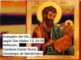 Evangelio del Día, según San Mateo 13, 24-30 - Cardenal Daniel Sturla (23/07/2023)