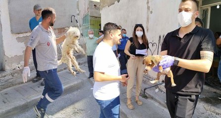 Kötü koşullarda yetiştirilen ‘can dostlar’ kurtarıldı