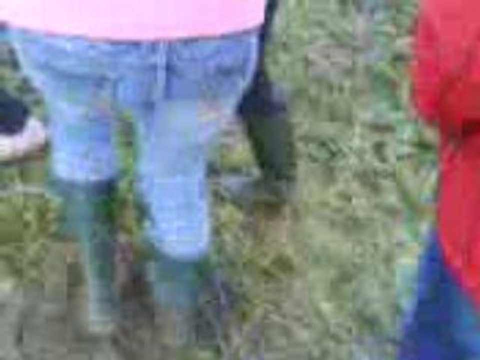 MOV00138