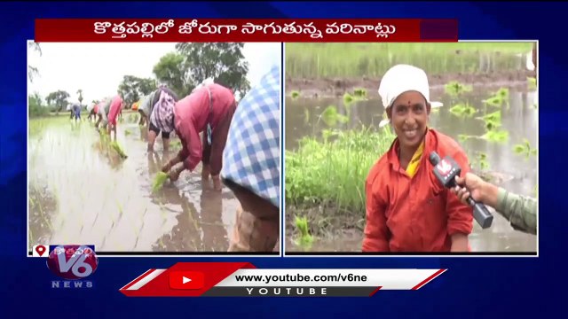 Farmers Busy with Sowing Paddy Seeds _ Kothapalli _ Karimnagar _ V6 News
