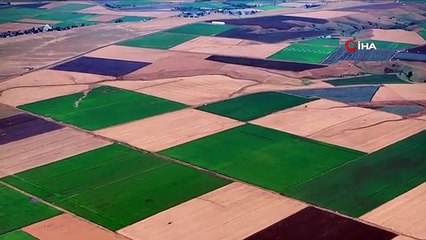 Une débauche de couleurs dans les champs de Bingöl