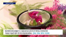 빈자리 없는 ‘반려견 오마카세’…명품 옷 대여까지