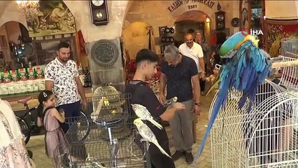 Kavurucu sıcaklarda bu mağarada sobayla ısınıyorlar