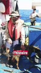 Perdu en mer, il survit pendant deux mois avec son chien avant d'être secouru.