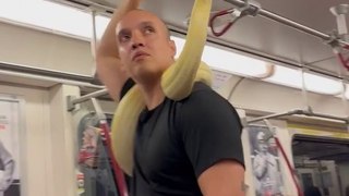Man Takes Pet Snake On Toronto Train