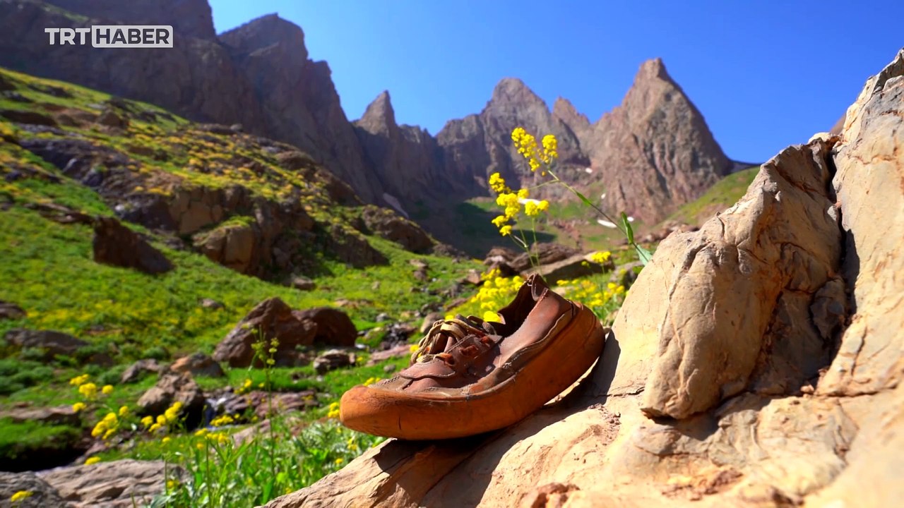 Terör örgütü PKK'nın kanlı eylemleri planladığı Geverok vadisi temizlendi