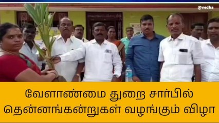வேளாண்மை துறை சார்பில் தென்னங்கன்றுகள் வழங்கும் விழா!