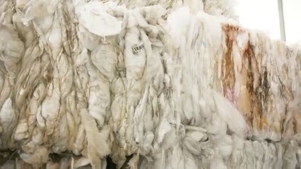 recycling factory world