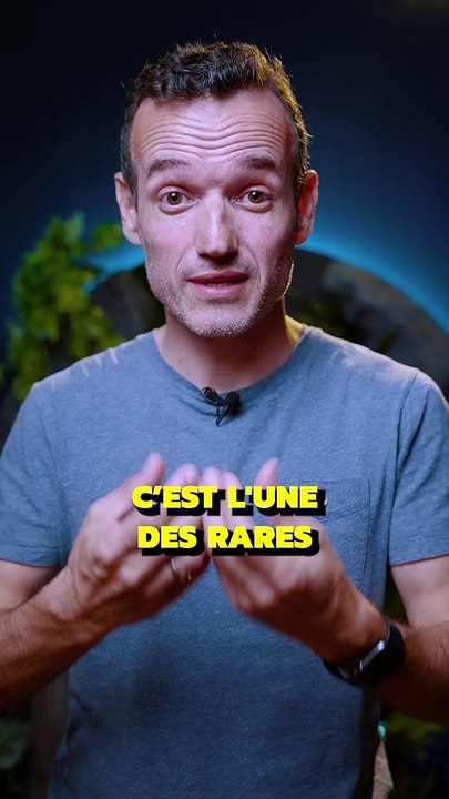 L’illusion de la saucisse 