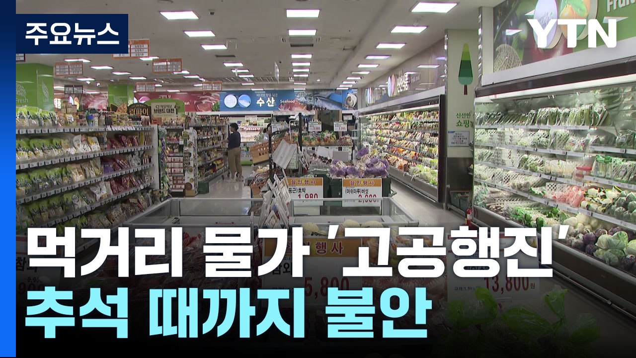 깜짝 놀랄 휴가철 먹거리 물가...추석 때까지 불안 / YTN