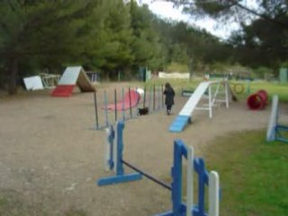 2008 03 26 entraînement agility 010