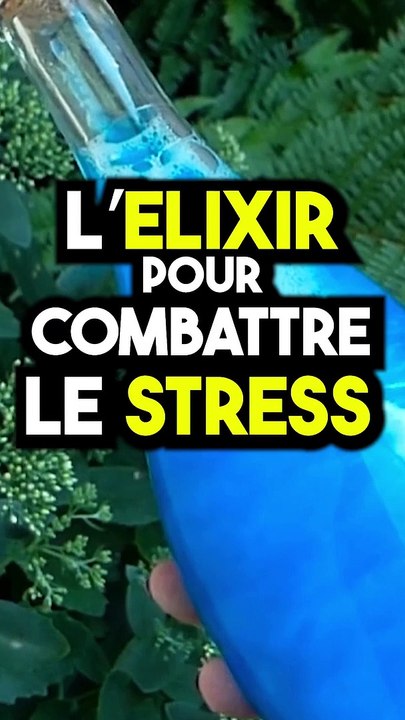 Une boisson anti-stress simple et efficace