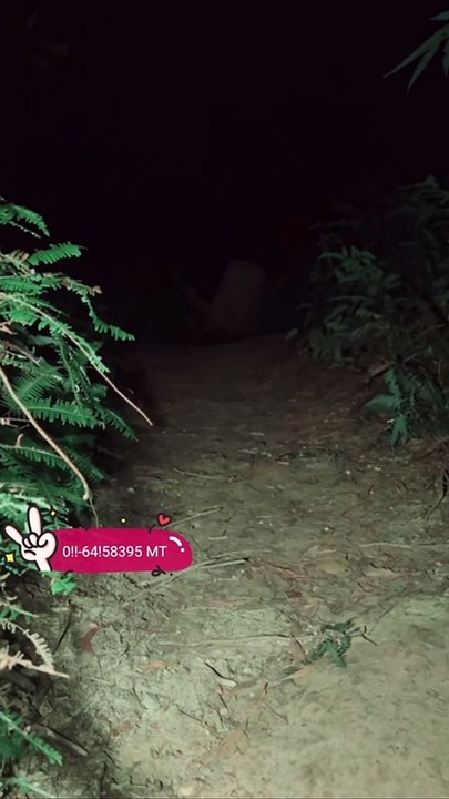 Paranormal activity ghost on camera part 180
