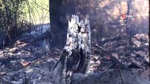 Karabağlar Yaylasında İkinci Yangın: İtfaiye Ekipleri Alevlere Toprak Atarak Müdahale Etti
