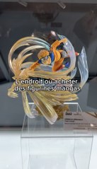 L’endroit parfait pour acheter des figurines mangas !