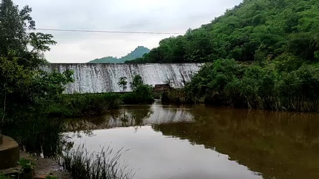 Video...पानरवा के नैसर्गिक सौंदर्य पर मोहित हुए प्रकृति प्रेमी