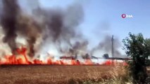 Burdur'da çıkan tarım arazisi yangınında 40 dönüm ekin küle döndü