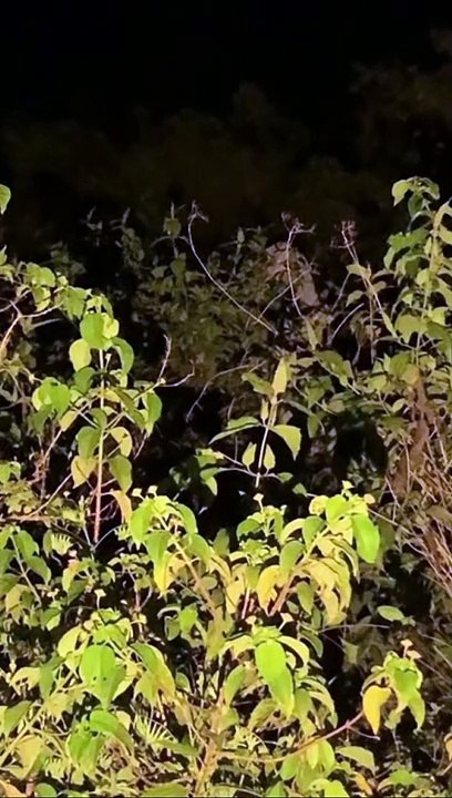 Paranormal activity ghost on camera part 184