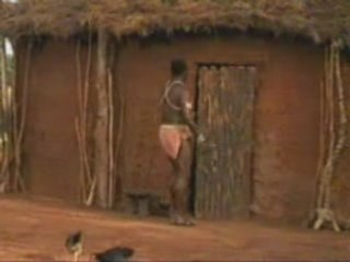 organizer,village hight tech