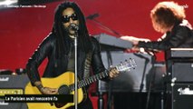 Lenny Kravitz, son immense hôtel particulier à Paris de 1500 mètres carrés hyper design