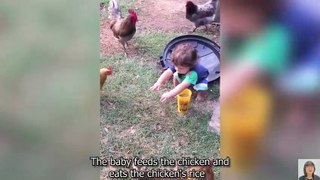 Cutest Babies and Animals in the Zoo - Funny Fail of the Week try not to laugh