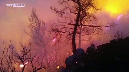 Muğla'da makilik alanda çıkan yangına müdahale ediliyor