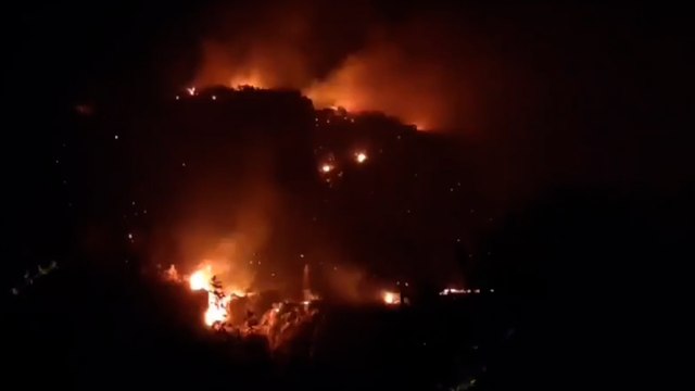 Muğla'da makilik alanda yangın