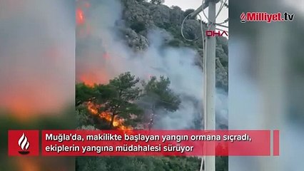 Muğla'da korkutan yangın! Ekiplerin müdahalesi sürüyor